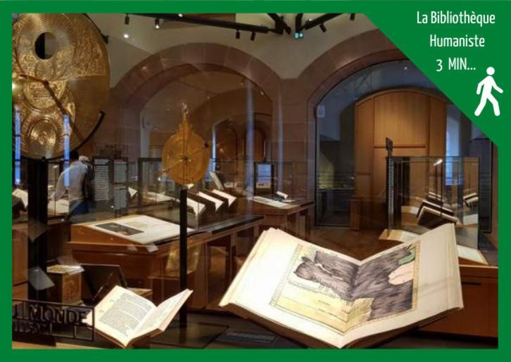 Апартаменты Aux Plaisirs D'Alsace Centre Historique Селеста Экстерьер фото