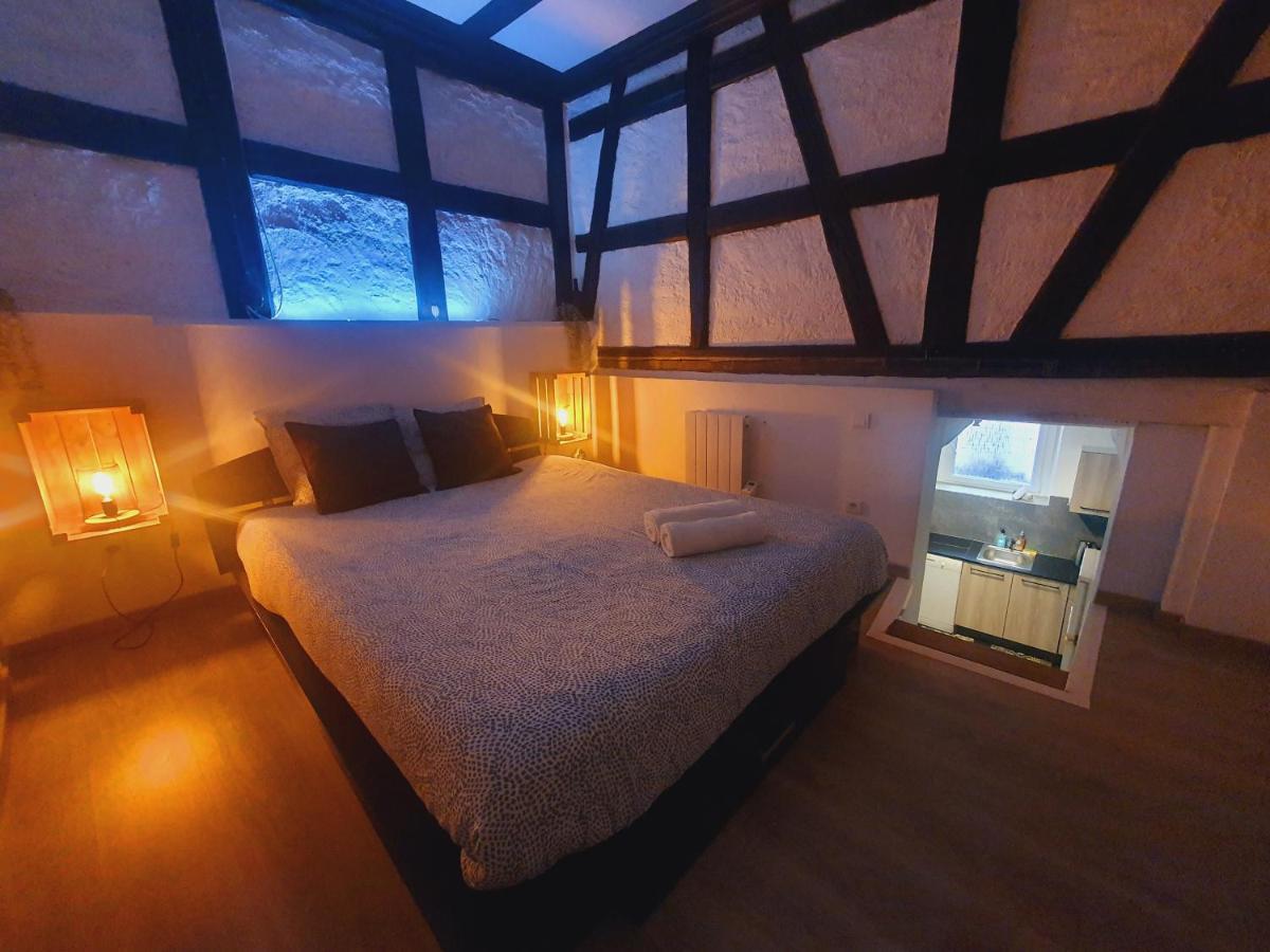 Апартаменты Aux Plaisirs D'Alsace Centre Historique Селеста Экстерьер фото
